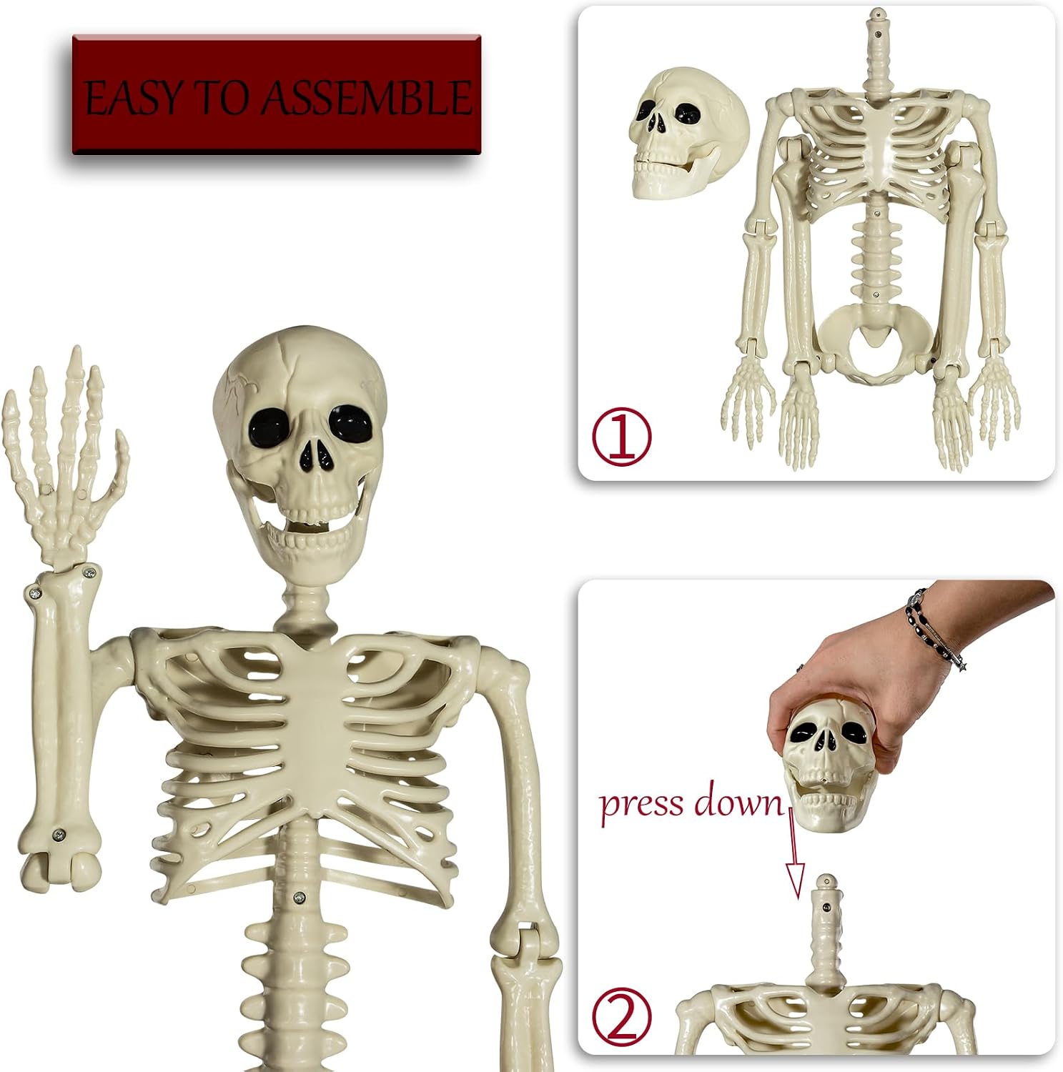Posable Halloween Skeleton Decoration - Image 7