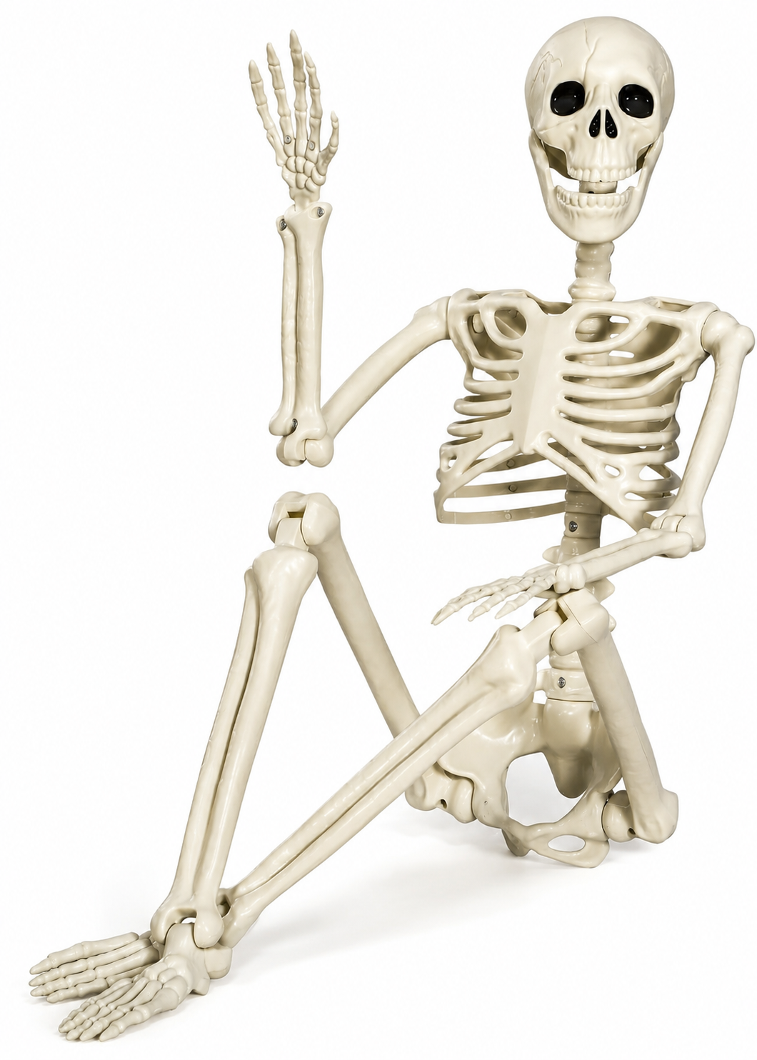 Posable Halloween Skeleton Decoration - Image 4