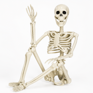 Posable Halloween Skeleton Decoration
